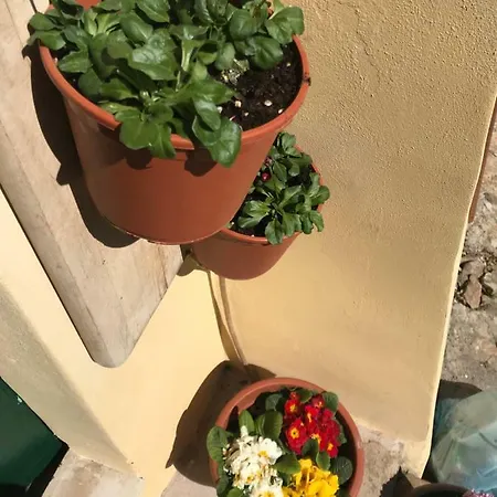 La Casa Del Castello *