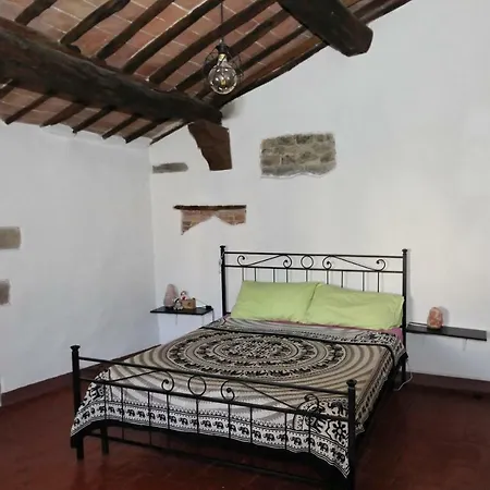 La Casa Del Castello Vicopisano