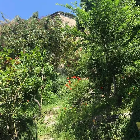 B&B La Casa Del Castello Vicopisano